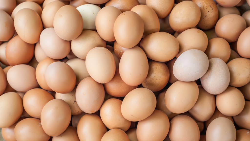 A picture of eggs to depict foods that increase endurance