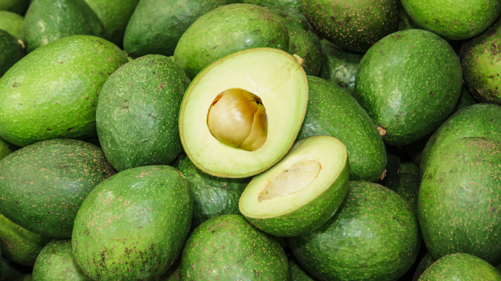 A picture of avocados